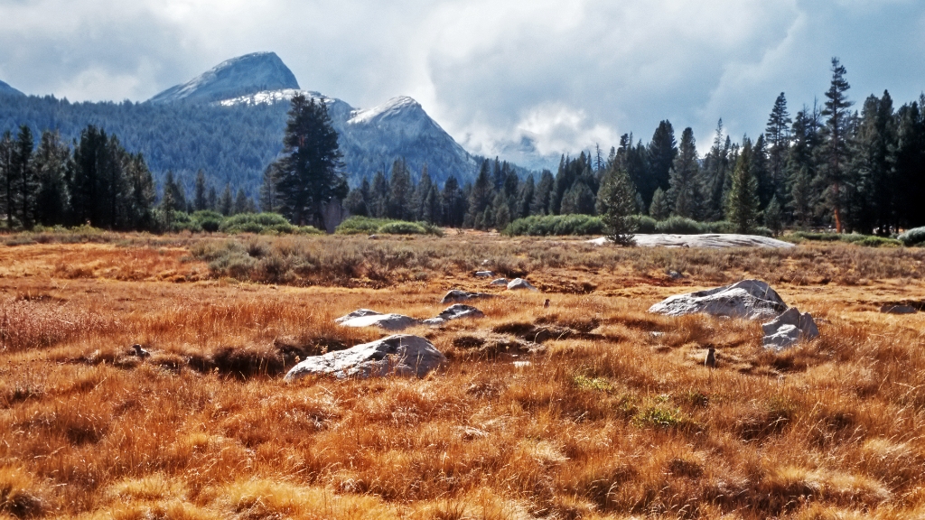 DIA_USA2002_143 1080.jpg - Tuolumne Meadows, Yosemite National Park